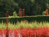 jardin de brocéliande