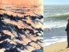 Sur le bord de l'ocean